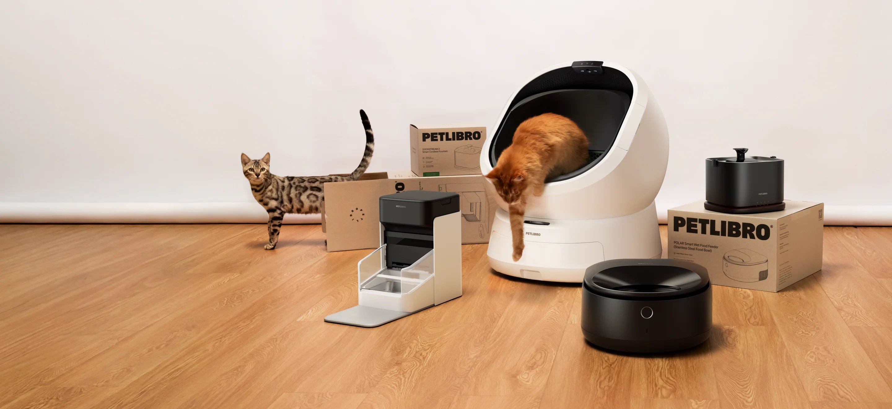 Welcome to Our Store